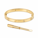 Pulsera Clásica Ejecutiva Oro Laminado 18K con Desarmador – Unisex